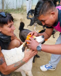 Kukur Tihar Dog Festival Day of the Dogs