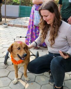 Kukur Tihar Dog Festival Day of the Dogs