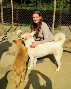 Kukur Tihar Dog Festival Day of the Dogs