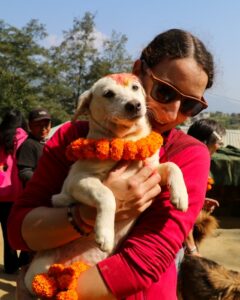 Kukur Tihar Dog Festival Day of the Dogs