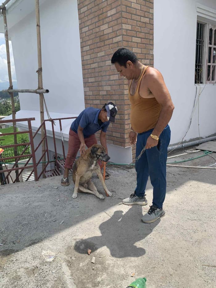 Baby Gamcha on arrival