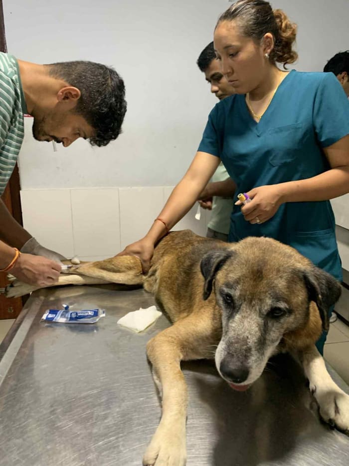 Baby Gamcha on arrival