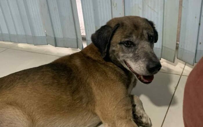 Baby Gamcha on arrival