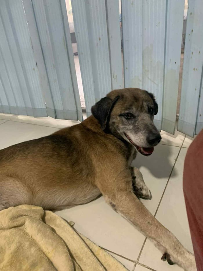 Baby Gamcha on arrival