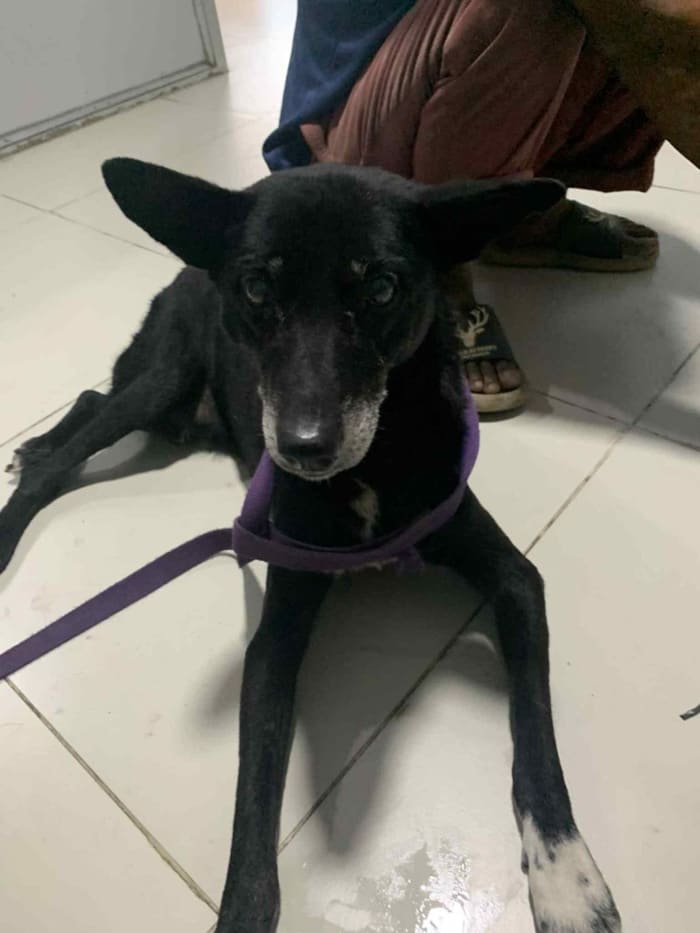 Furi Shivapuri on arrival