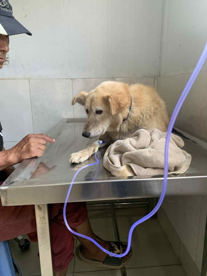 Goma Khari on arrival