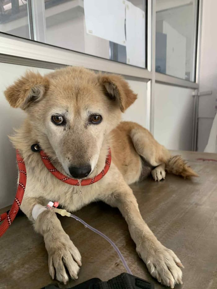 Goma Khari on arrival