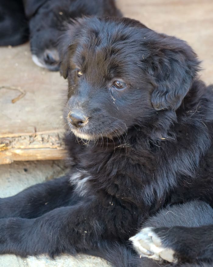 Mick Jagger August 2025 March 2025