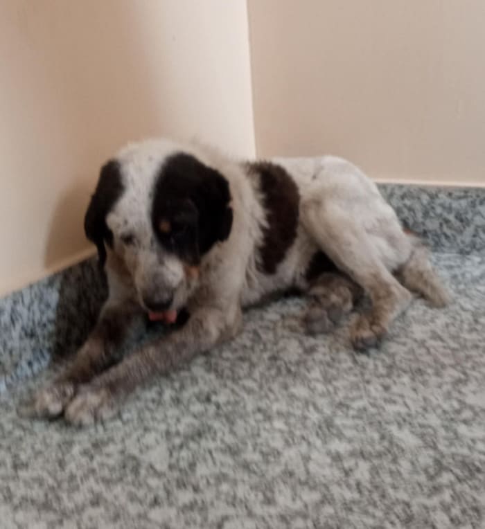 Pangre Aachu on arrival