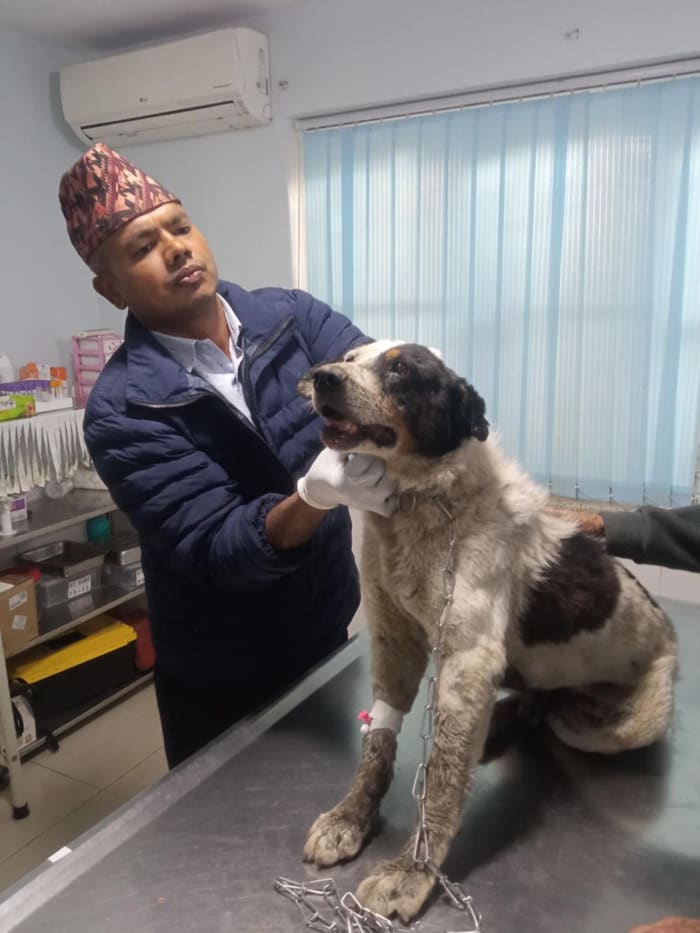 Pangre Aachu on arrival