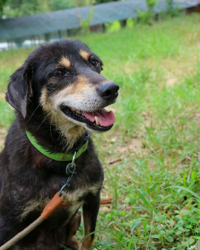 Pauna Akrity August 2025