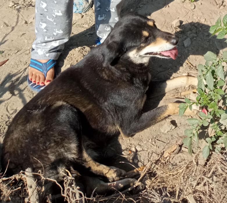 Pauna Akrity on arrival