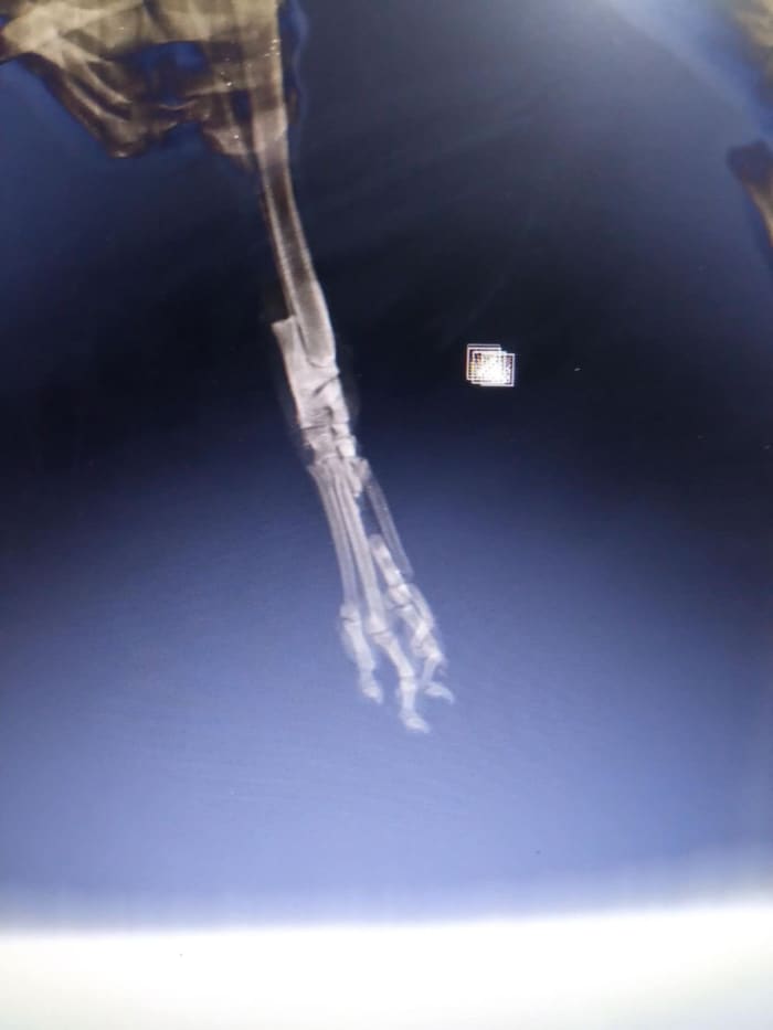 Pauna Akrity on arrival