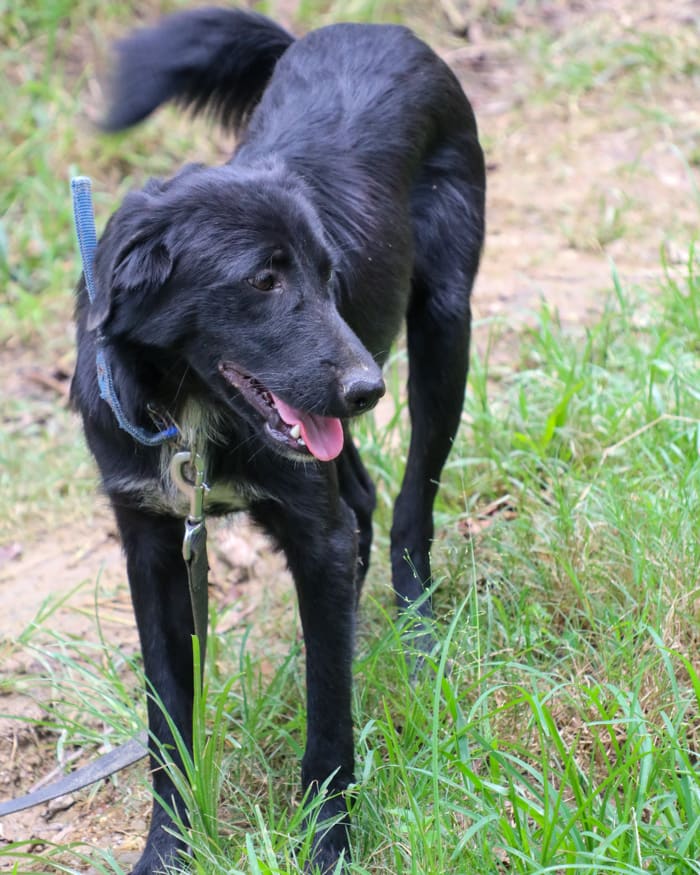 Mick Jagger August 2025