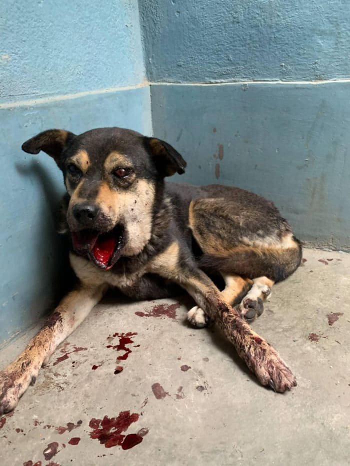 Saru Binit on arrival