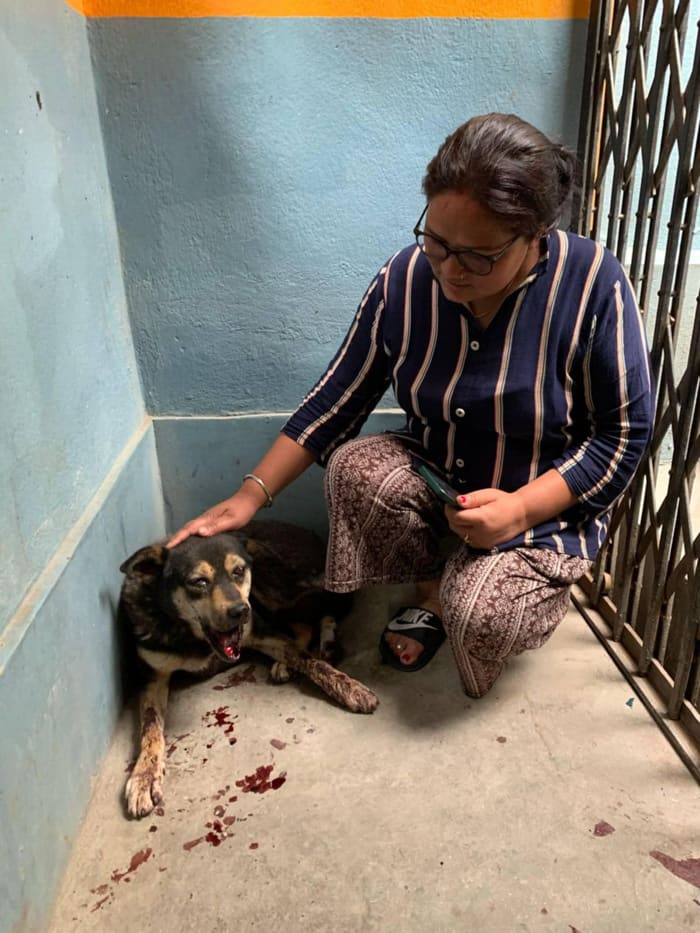 Saru Binit on arrival