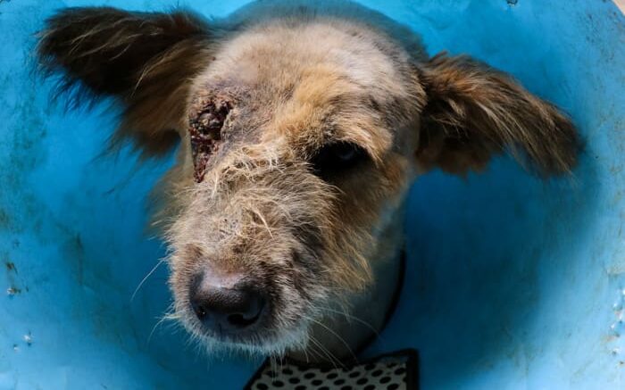 Tulke Makal on arrival